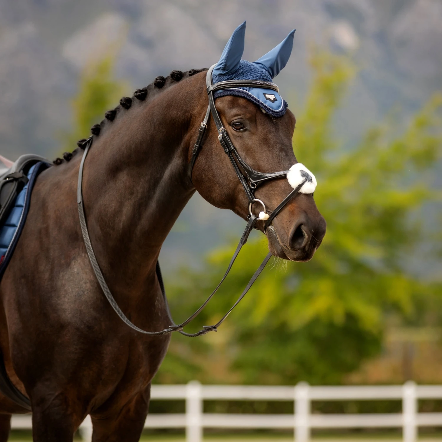 LeMieux Loire Fly Hood Atlantic 4 LeMieux Loire Fly Hood Atlantic - Image 2