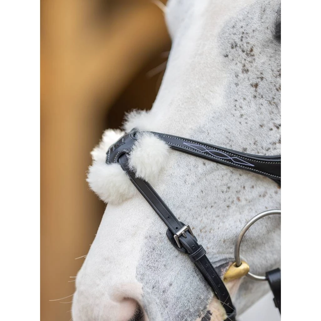 LeMieux Kudos Grackle Bridle 7 LeMieux Kudos Grackle Bridle - Image 5