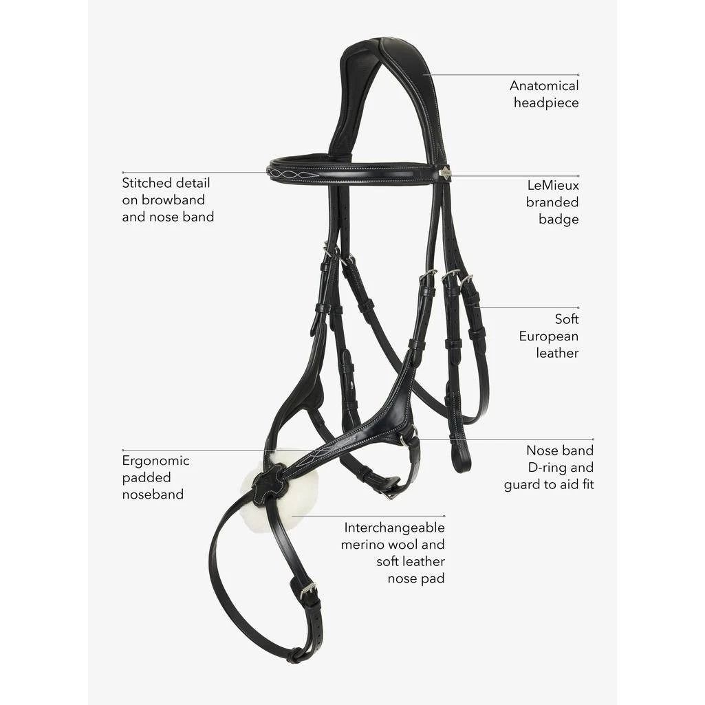 LeMieux Kudos Grackle Bridle 8 LeMieux Kudos Grackle Bridle - Image 6
