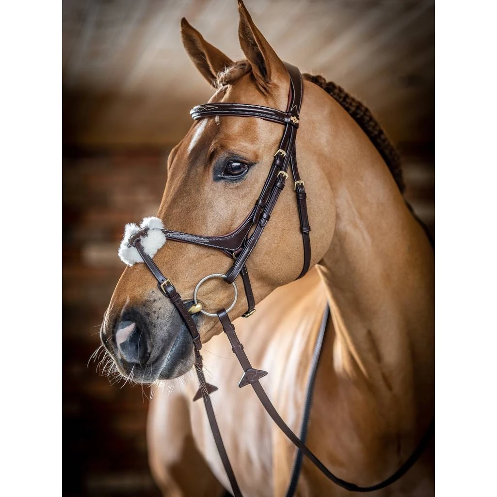 LeMieux Kudos Grackle Bridle 3 LeMieux Kudos Grackle Bridle