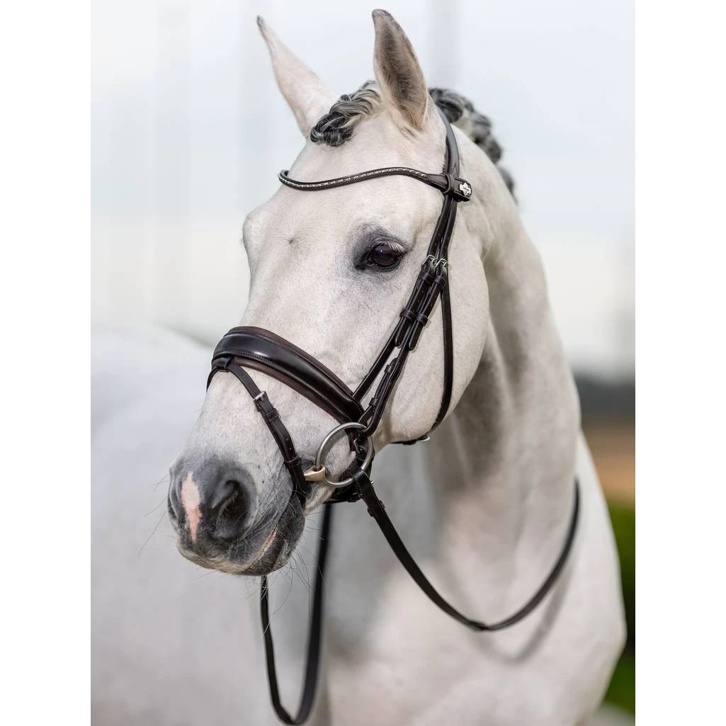 LeMieux Kudos Classic Dressage Bridle 3 LeMieux Kudos Classic Dressage Bridle