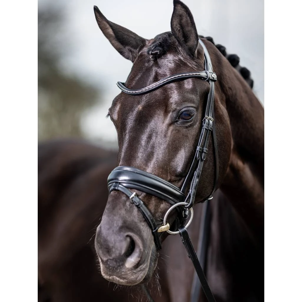LeMieux Kudos Classic Dressage Bridle 4 LeMieux Kudos Classic Dressage Bridle - Image 2