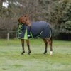 WeatherBeeta ComFiTec Classic Combo Medium Black/Lime Turnout Rug -Saddle Shop 16377 32672
