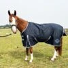 Townfields 50g Lite Standard Neck Turnout Rug -Saddle Shop 16529 32574