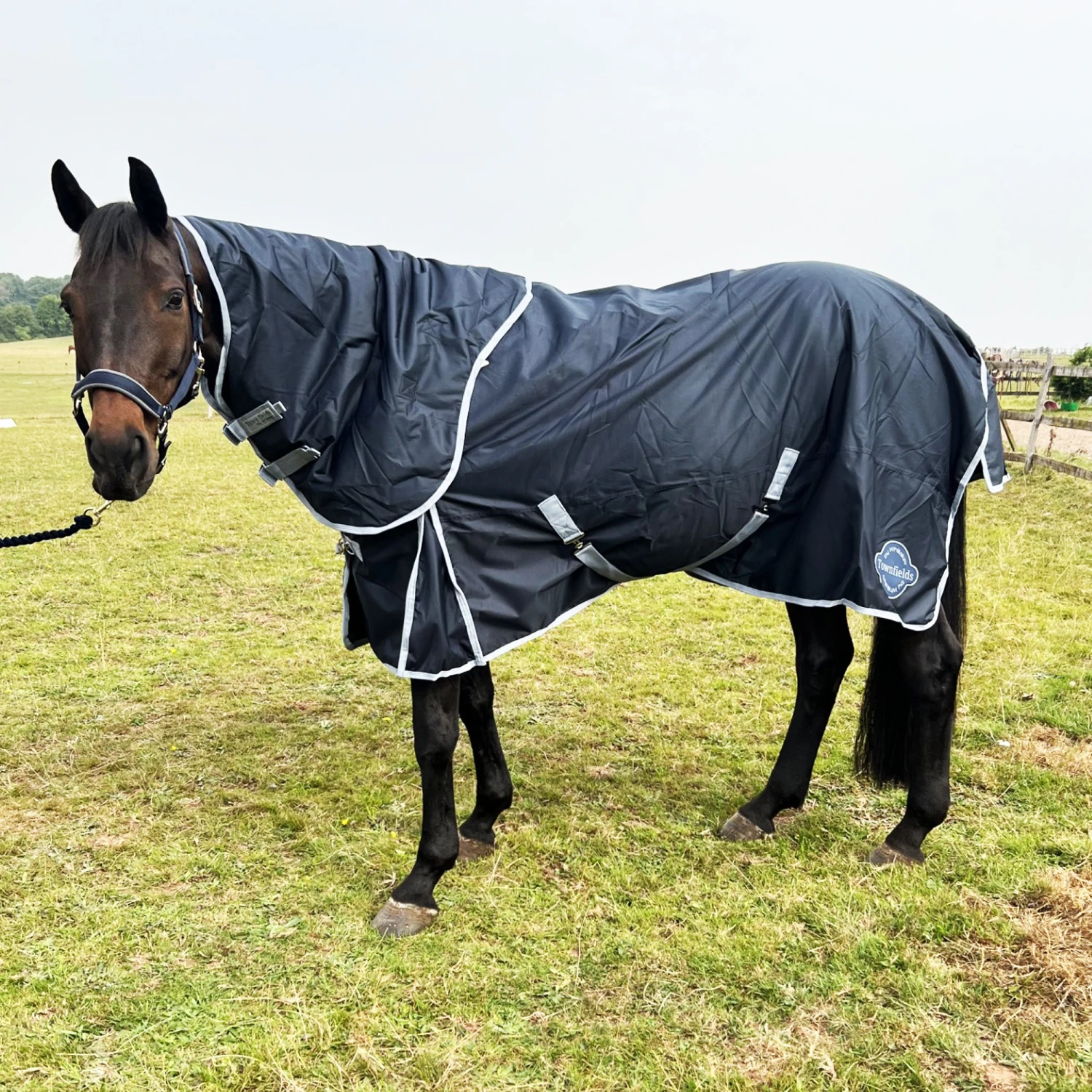 Townfields 100g Detach A Neck Medium Turnout Rug 3 Townfields 100g Detach A Neck Medium Turnout Rug