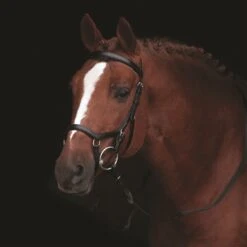 Horseware® Micklem® Competition Bridle