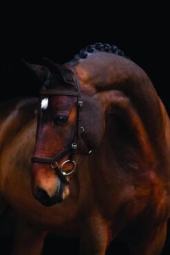 Horseware® Micklem® Competition Bridle 9 Horseware® Micklem® Competition Bridle -Saddle Shop 1913 21283