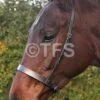 Townfields Hunter Noseband -Saddle Shop 1950 21304