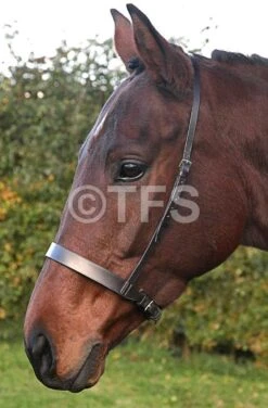 Townfields Hunter Noseband