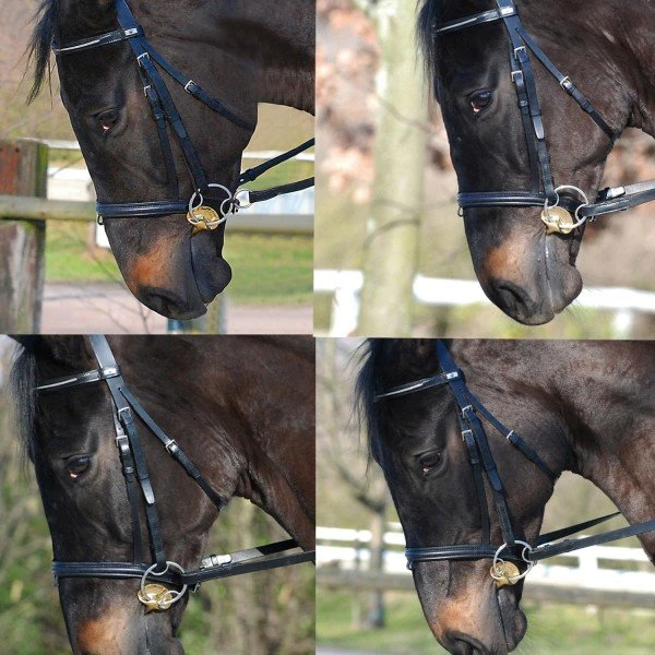 Stubben Golden Wings 4 In 1 Horse Bit 4 Stubben Golden Wings 4 In 1 Horse Bit - Image 2