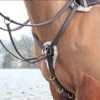 Salisbury Five Point Breastplate -Saddle Shop 2440 24580