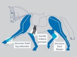 Prolite Performance Dressage Girth 9 Prolite Performance Dressage Girth -Saddle Shop 2477 21562