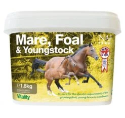 NAF Mare Foal And Youngstock
