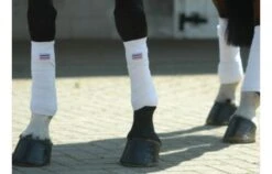 John Whitaker Training Bandages