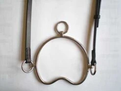 Chifney Bit With Bradoon Strap