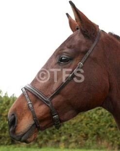 Townfields Padded Flash Noseband