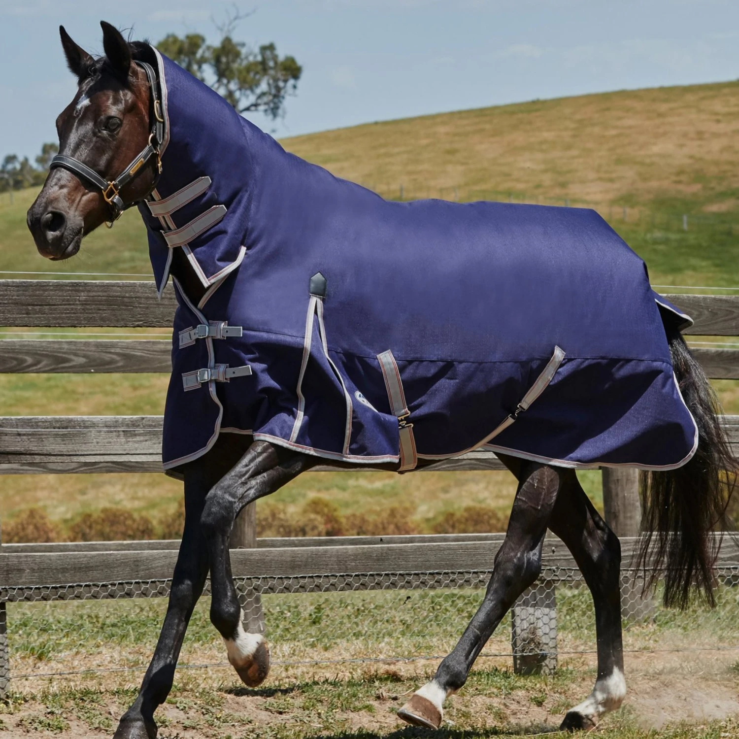 WeatherBeeta ComFiTec Essential Combo Heavy Horse Turnout Rug 3 WeatherBeeta ComFiTec Essential Combo Heavy Horse Turnout Rug