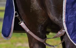 WeatherBeeta ComFiTec Essential Combo Heavy Horse Turnout Rug 16 WeatherBeeta ComFiTec Essential Combo Heavy Horse Turnout Rug -Saddle Shop 4643 21994