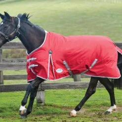 WeatherBeeta ComFiTec Classic Standard Lite Horse Turnout Rug Red