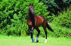 Woof Wear Medical Hoof Boot -Saddle Shop 4710 22028