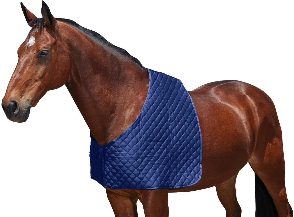 Weatherbeeta Deluxe Shoulder Guard 4 Weatherbeeta Deluxe Shoulder Guard - Image 2