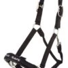 LeMieux Pro Safe Headcollar -Saddle Shop 4966 22146