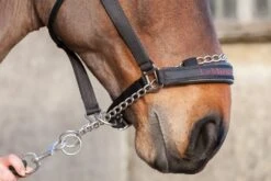 LeMieux Pro Safe Headcollar 5 LeMieux Pro Safe Headcollar -Saddle Shop 4966 22147