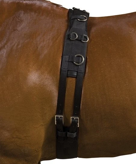 Kincade Deluxe Lunge Roller 3 Kincade Deluxe Lunge Roller