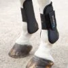Shires Arma Tendon Boots -Saddle Shop 5329 22399