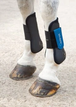 Shires Arma Tendon Boots -Saddle Shop 5329 22401