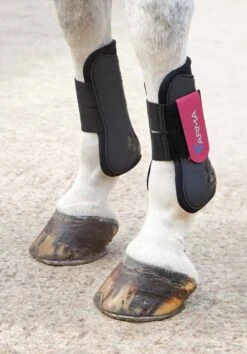 Shires Arma Tendon Boots -Saddle Shop 5329 22403
