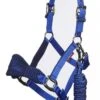 LeMieux Vogue Headcollar And Leadrope Navy/Royal -Saddle Shop 5412 22468