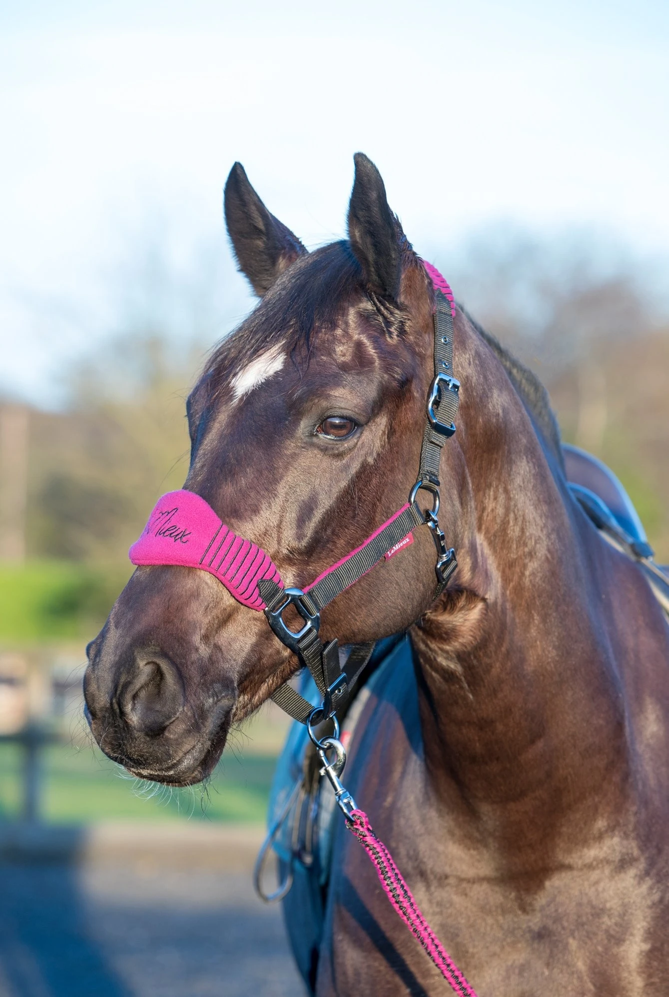 LeMieux Vogue Headcollar And Leadrope Plum/Black 4 LeMieux Vogue Headcollar And Leadrope Plum/Black - Image 2