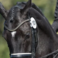Equetech Bridle Competition Numbers