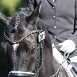 Equetech Bridle Competition Numbers -Saddle Shop 566 22634