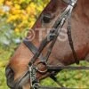 Townfields Flat Nose Hunt Weymouth Bridle -Saddle Shop 588 24578