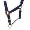 Hy Horse Headcollar -Saddle Shop 5920 23005