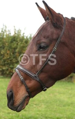 Townfields Flash Noseband