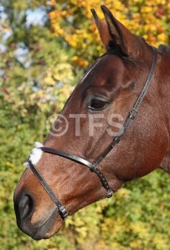 Townfields Grackle Noseband