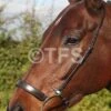 Townfields Lever Noseband 2 Townfields Lever Noseband -Saddle Shop 600 23132