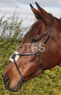 Townfields Spanish Grackle Noseband