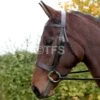 Townfields Hunter Flat Nose 1 1/4 Snaffle Bridle -Saddle Shop 636 23316