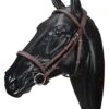 Wintec Snaffle Bridle