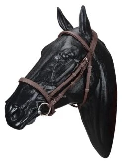 Wintec Snaffle Bridle