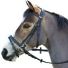 Wintec Flash Bridle -Saddle Shop 9709 24228