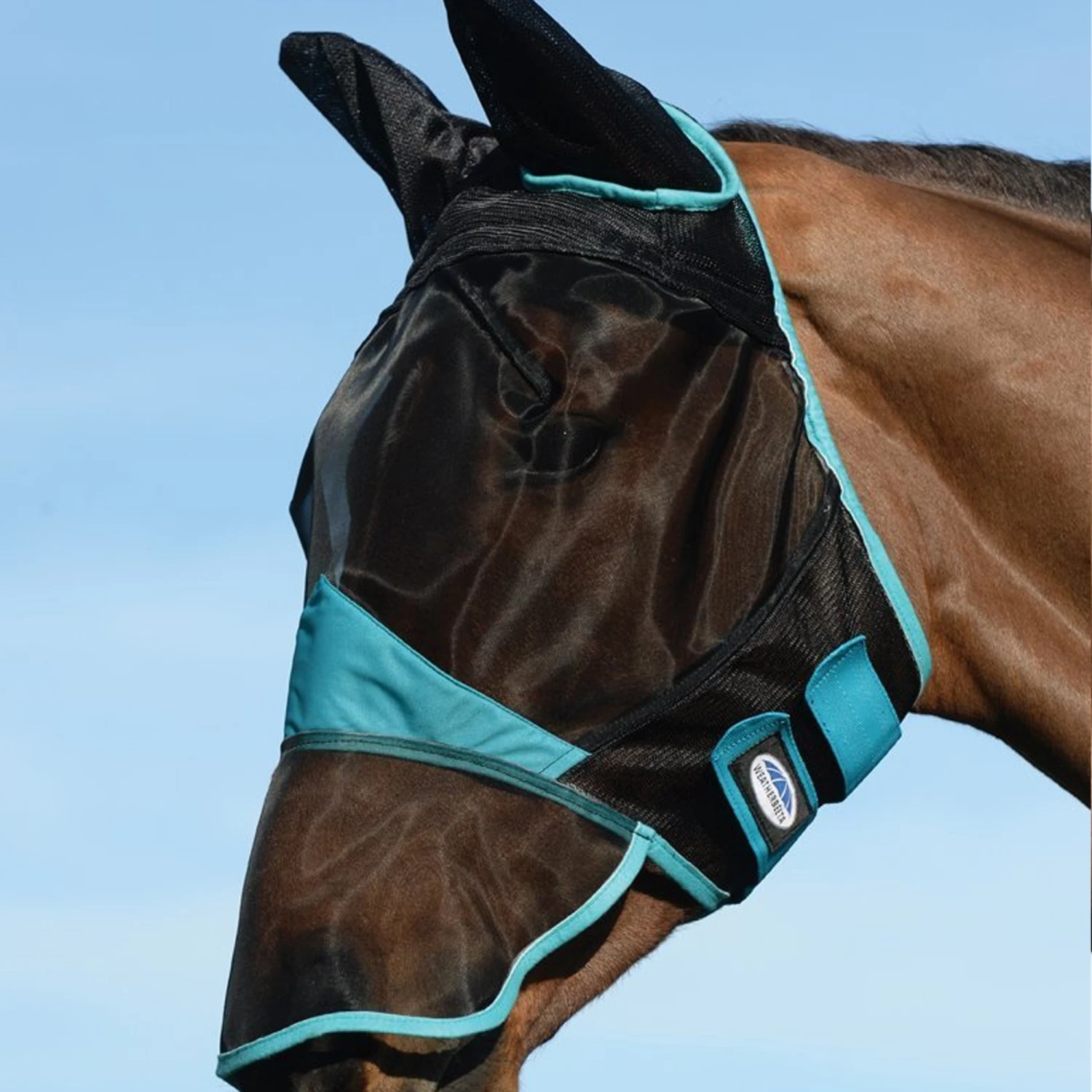 WeatherBeeta ComFitec Fine Mesh Fly Mask Nose And Ears Black/Turquoise 3 WeatherBeeta ComFitec Fine Mesh Fly Mask Nose And Ears Black/Turquoise