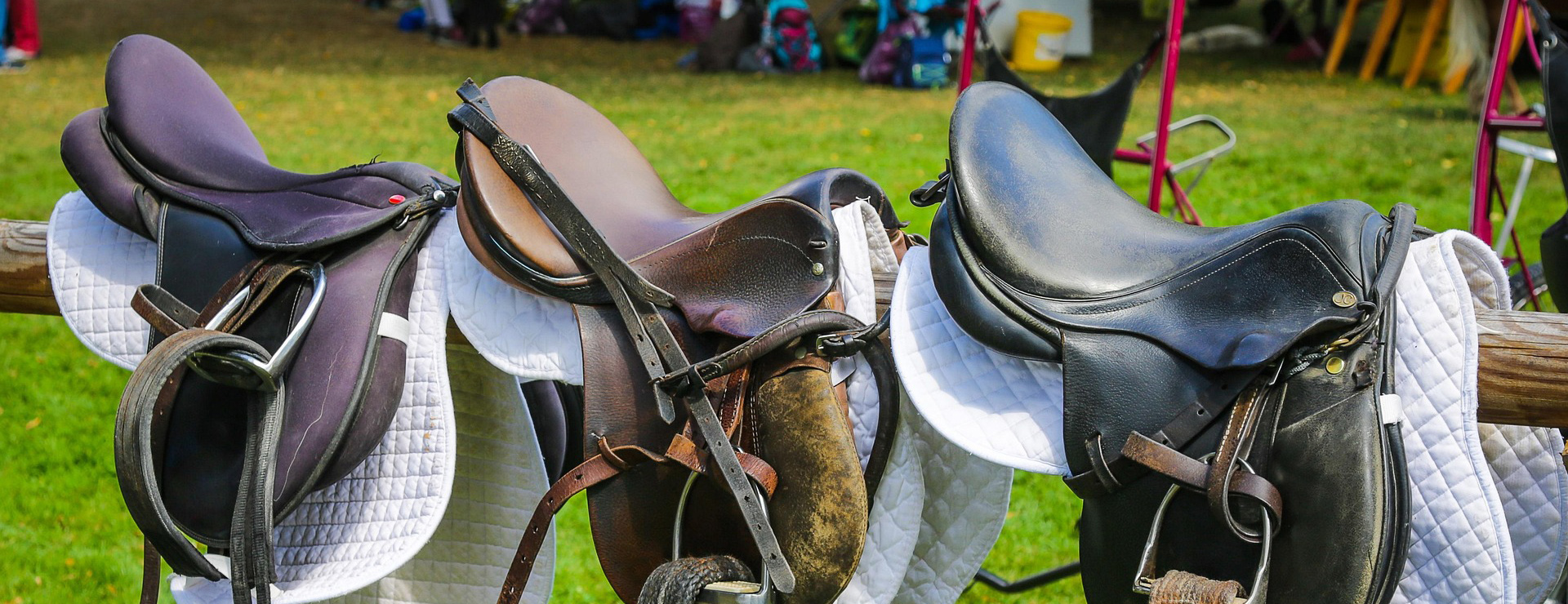 Saddle Shop -Saddle Shop saddle 3647014 1920